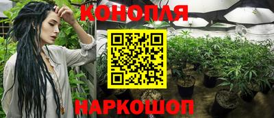 мяу мяу мука Будённовск